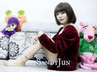 SandyJun