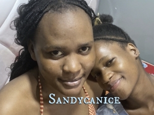 Sandycanice