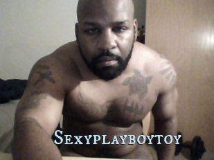 Sexyplayboytoy