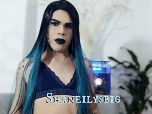 Shaneilysbig