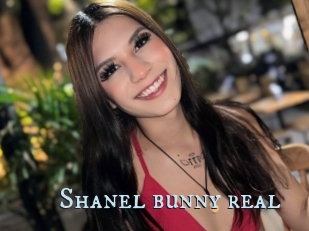 Shanel_bunny_real