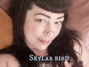 Skylar_bird