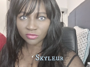 Skyleur