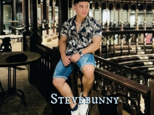 Stevebunny