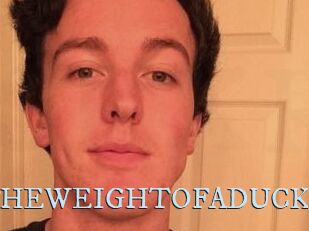 THEWEIGHTOFADUCK