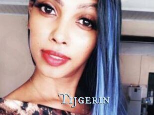 Tijgerin