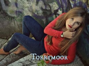 Torrymoor