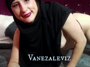 Vanezaleviz