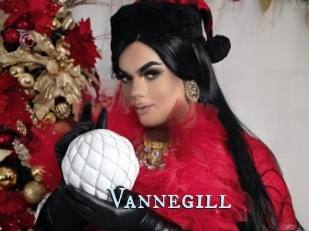 Vannegill