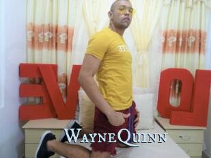 WayneQuinn