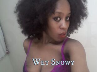 Wet_Snowy