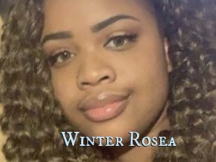 Winter_Rosea