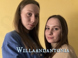 Willaandantonia