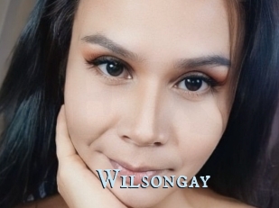 Wilsongay