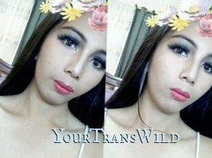 YourTransWild